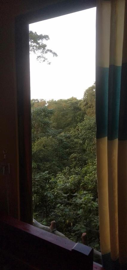 Inn On The Rock Daambulla Дамбулла Экстерьер фото